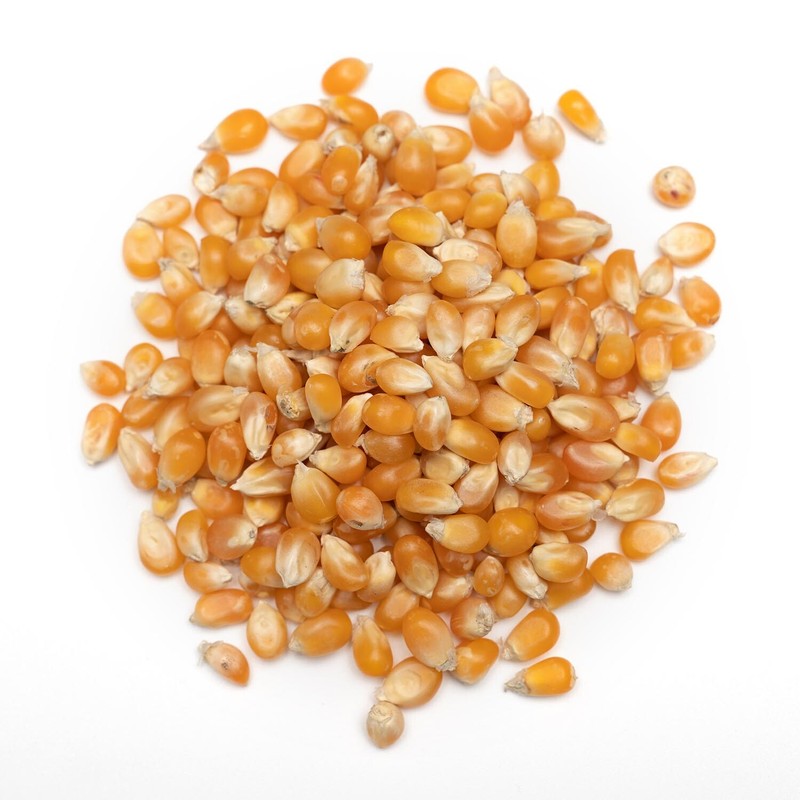 ORGANIC BULK 10 KG POPCORN Kernels Corn Seeds - PRODUCT OF AUSTRALIA - POPCORN gallery