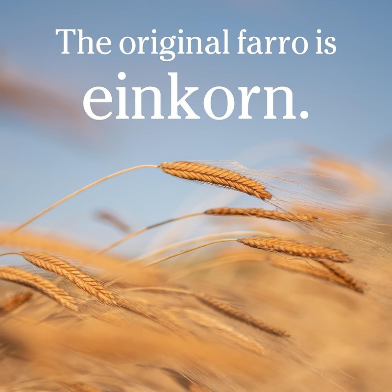 Jovial Organic Einkorn Wheat Berries 3 Pack Whole Grain Non GMO Italy 48 Oz BEST gallery