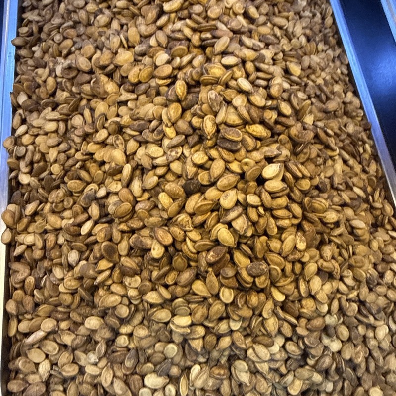 Whole Roasted Pine Nuts Savory Snack Bulk Pantry Food Tree Nuts Allergen gallery