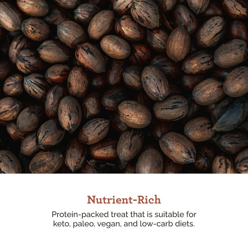 In-Shell Pecans 5lb Bag Georgia Grown Hudson Brand Keto Friendly gallery
