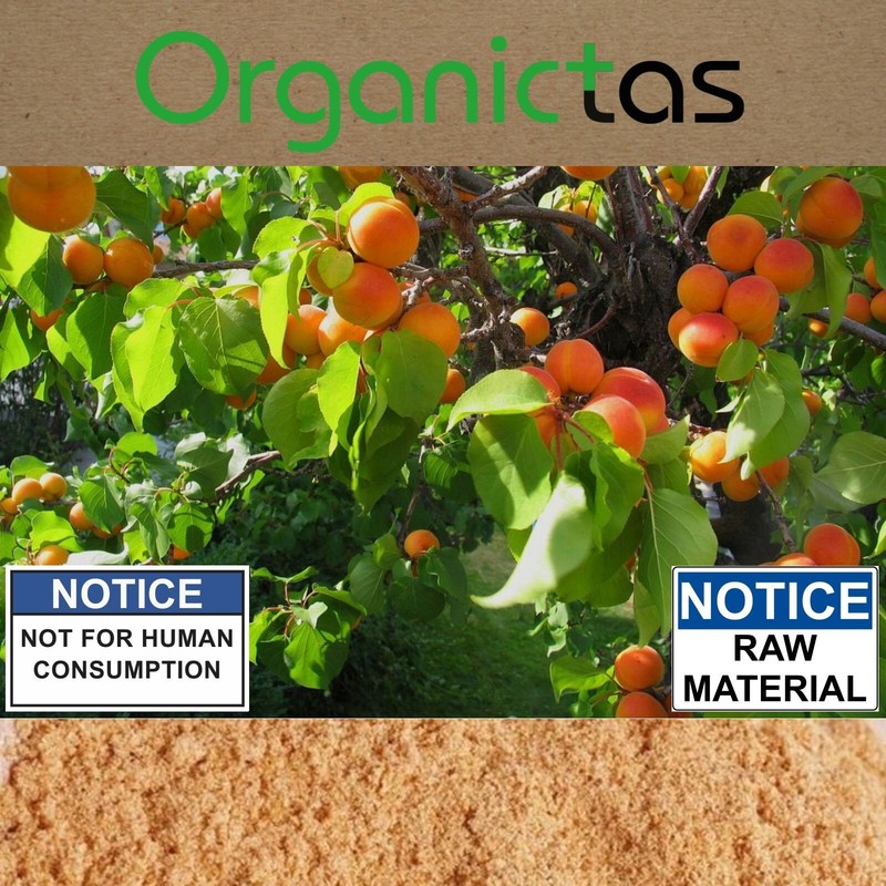 Bitter Apricot POWDER Raw (Seeds, Kernel, Pit, Stone, Core) Best Premium Quality gallery