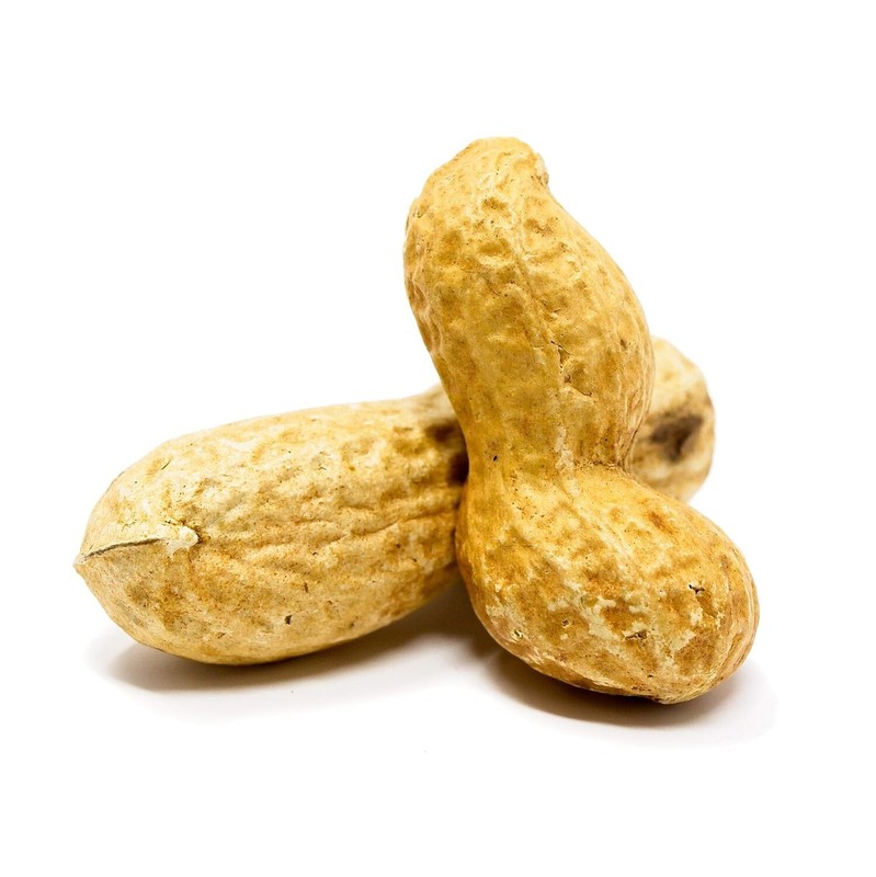 Premium 2.5lb Jumbo Raw Peanuts in Shell For Squirrels - Unsalted Treats gallery