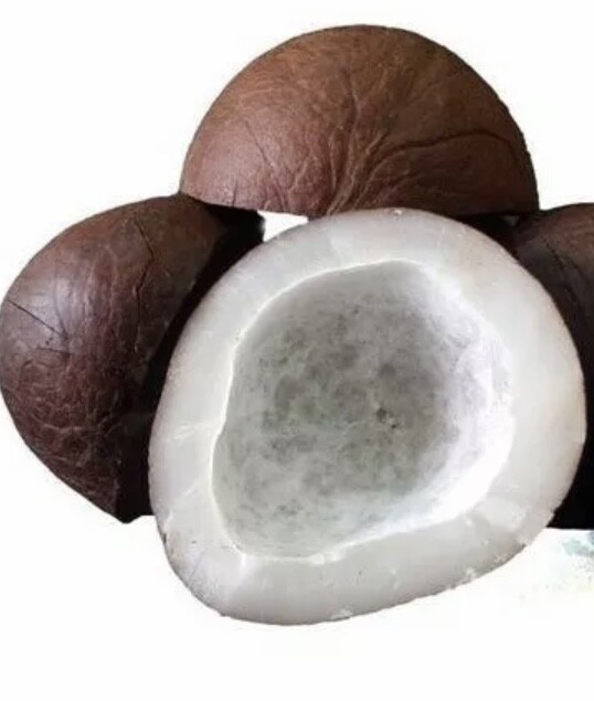 Dry Coconut Halve Whole 500g Copra Organic Fresh whole Rich In Oil Ceylon Made gallery