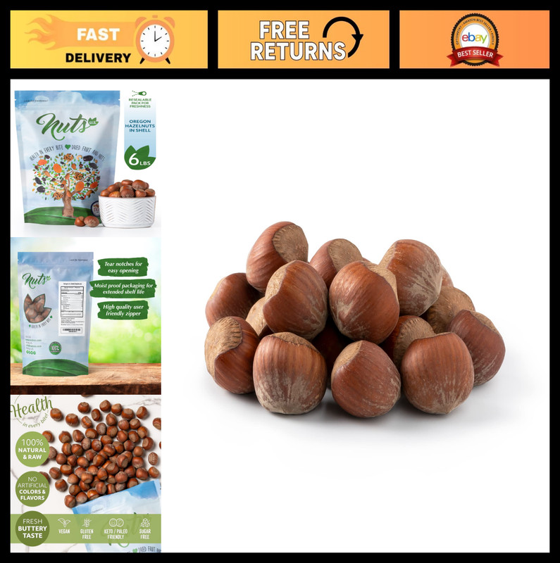 Raw Oregon Hazelnuts in Shell – Whole, Unsalted, Non-GMO, Fresh & Buttery Taste,