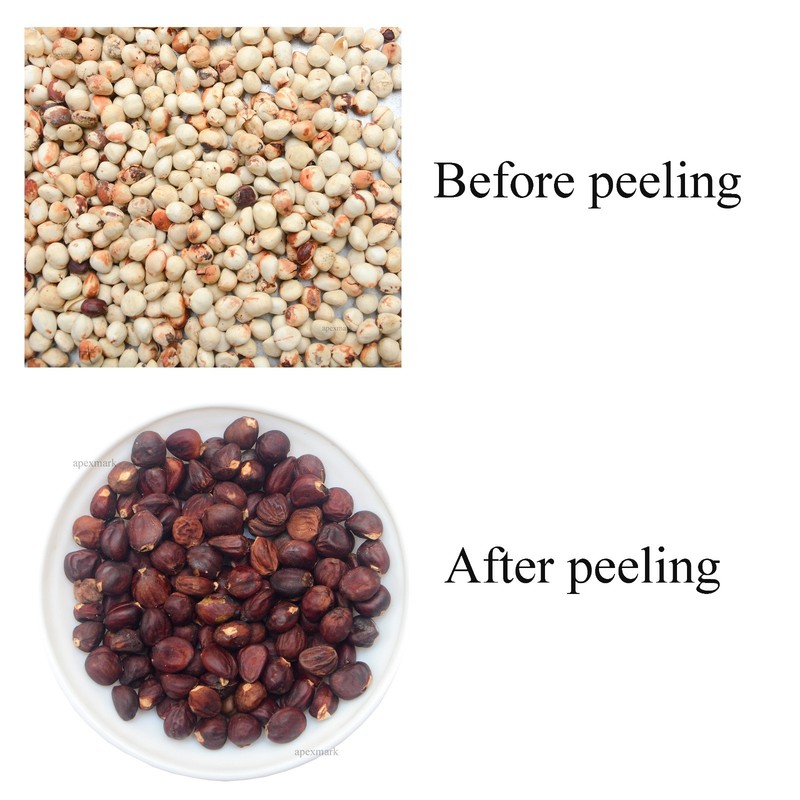 Premium Rare Endemic Ceylon Bread Fruit Seeds Powder-Artocarpus Nobilis gallery