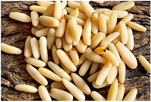 Pine Nut (Chilgoza) Without Shell Premium quality Pine Nut Organic A+ Grade 150g