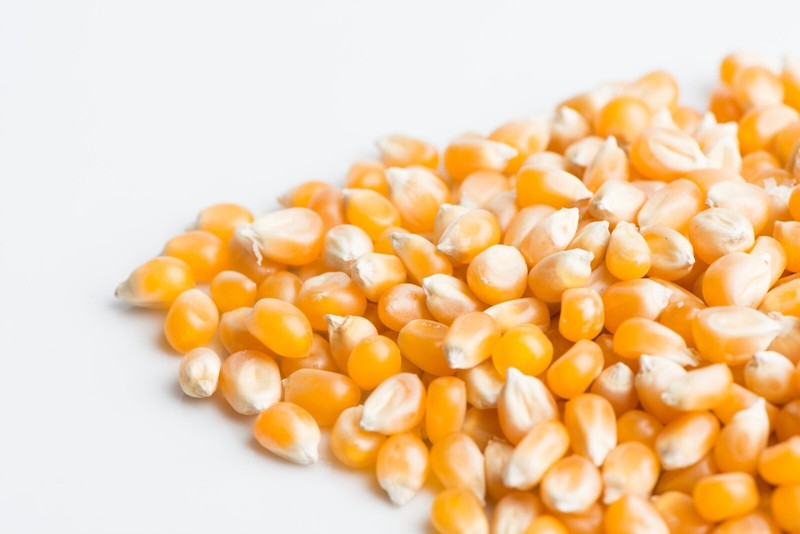 1KG BULK POPPING CORN PRODUCT OF AUSTRALIA – FREE POST Aussie Seller