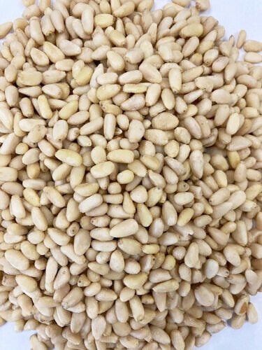 Top Quality Pine nut kernel without shell Bulk Wholesale