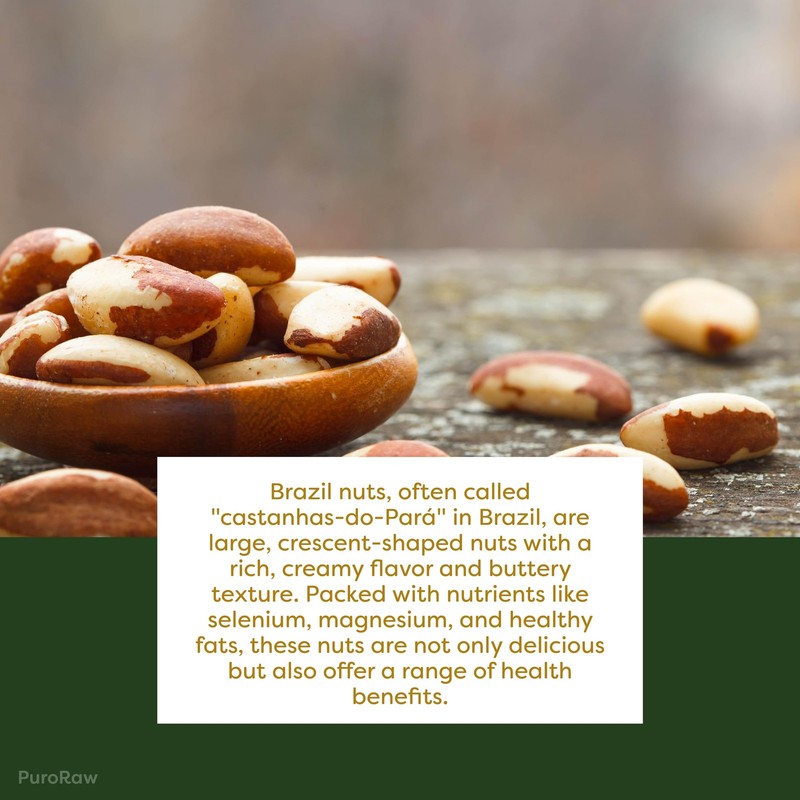 PuroRaw Raw Brazil Nuts 1lb - Unsalted Non-GMO Vegan Snack gallery