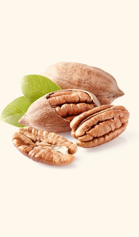 GEORGIA PREMIUM PECANS IN SHELL 5 LBS. Of FRESH 2023 NEW CROP gallery