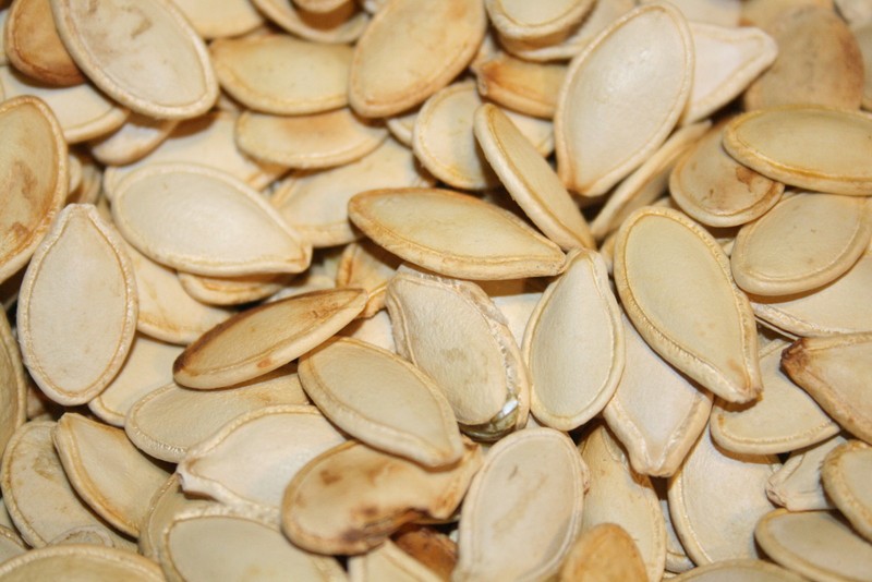 PUMPKIN SEEDS IN SHELL ROASTED UNSALTED, 10LBS
