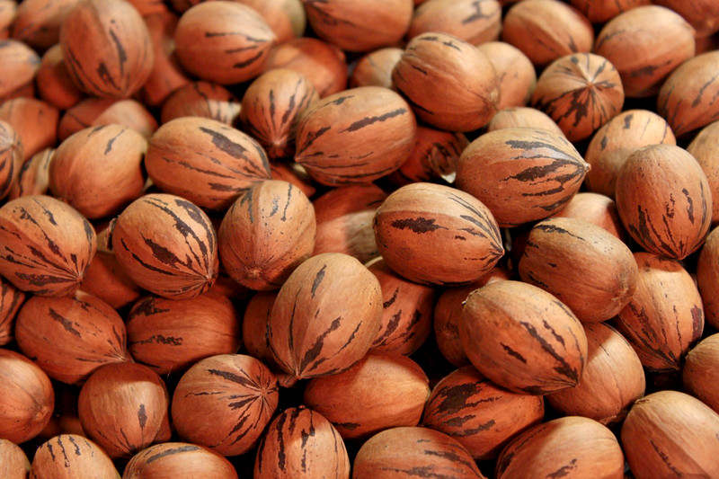 Hand-Picked GA Pecans — MANY Cultivars — 2 LB Sorted Variety Pack gallery
