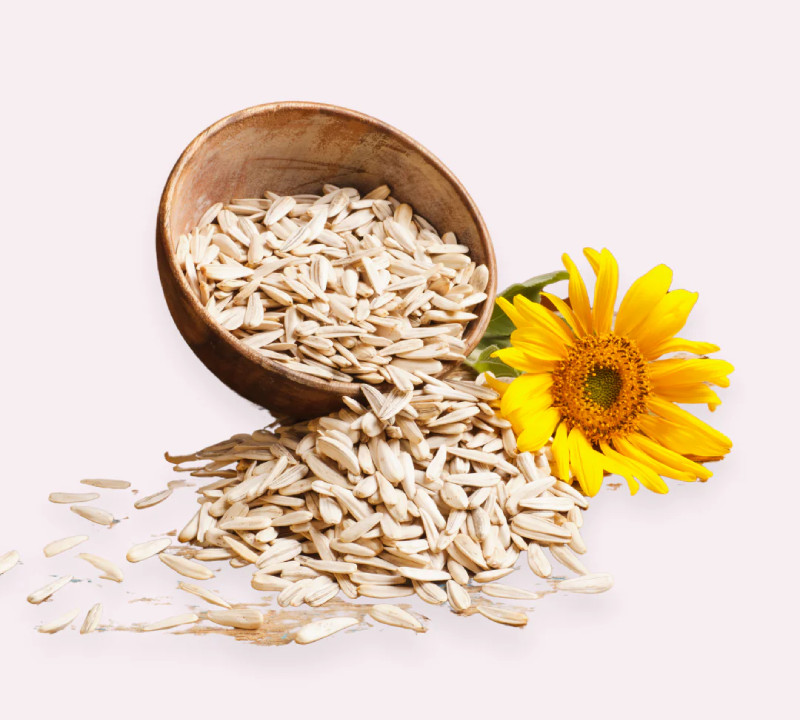 ORGANIC SUNFLOWER SEEDS NON GMO UNSALTED - BY FOOD TO LIVE gallery
