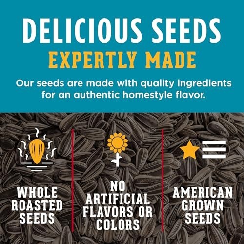 Jumbo Sunflower Seeds Ranch Flavor 5.25 oz Bag Salted Roasted Keto Snack gallery