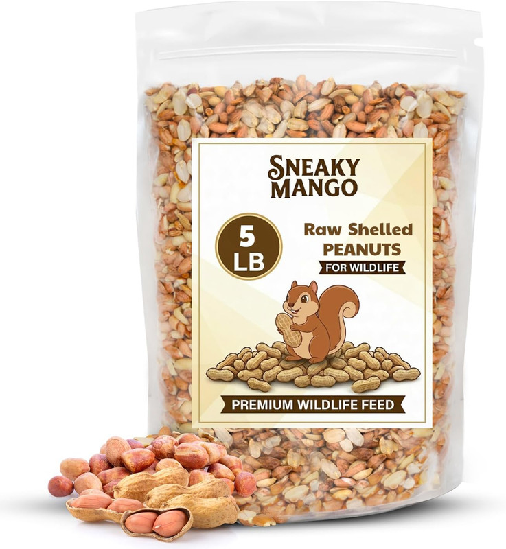 Sneaky Mango Raw Out of Shell Peanuts – 5 Pounds – Shelled Peanuts for Birds – W