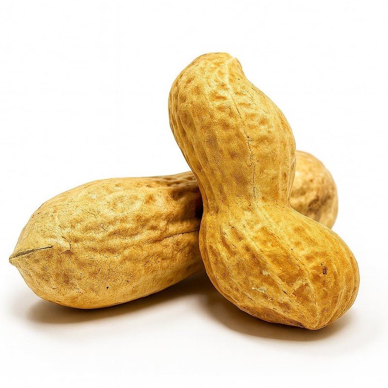 Sky | Grown, Raw Peanuts in Shell for Squirrels, 2.5lb | Jumbo Unsalted Pea... gallery