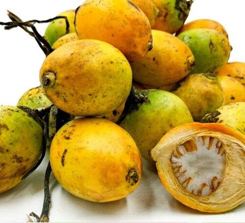 Dried Areca Nut - Betel Nut- Karunka- Pure Ceylon 100% High Quality Whole Nuts gallery