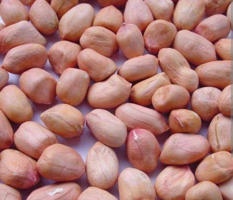Natural Peanut Groundnut Fresh Whole Raw Peanuts Premium Quality Dry Fruit 900g gallery
