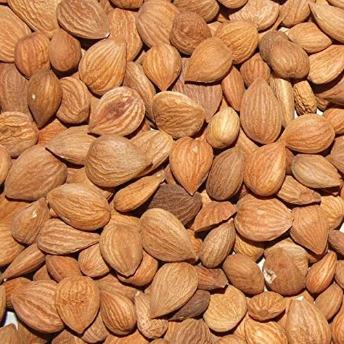 Bitter Apricot Kernels 1LB-100% USDA Certified Organic Bitter Apricot Seeds Free gallery