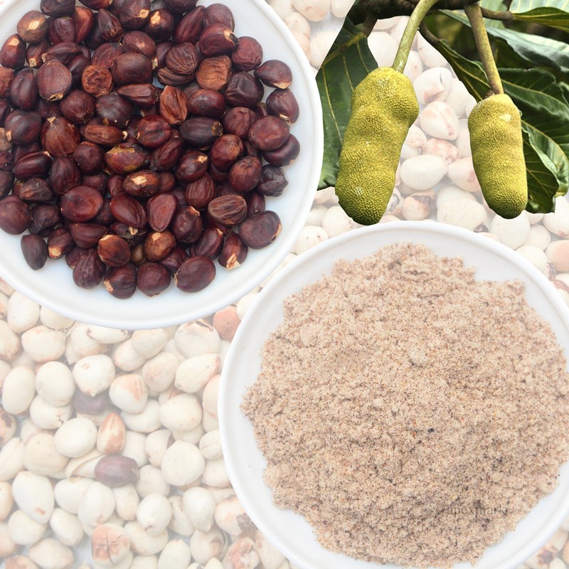 Premium Rare Endemic Ceylon Bread Fruit Seeds Powder-Artocarpus Nobilis