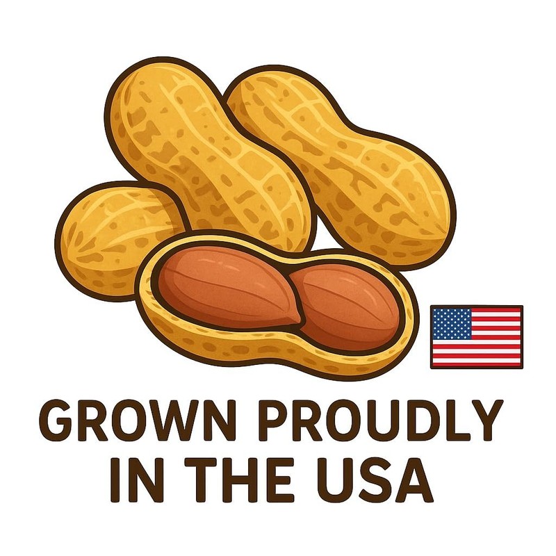 Sky | Grown, Raw Peanuts in Shell for Squirrels, 2.5lb | Jumbo Unsalted Pea... gallery