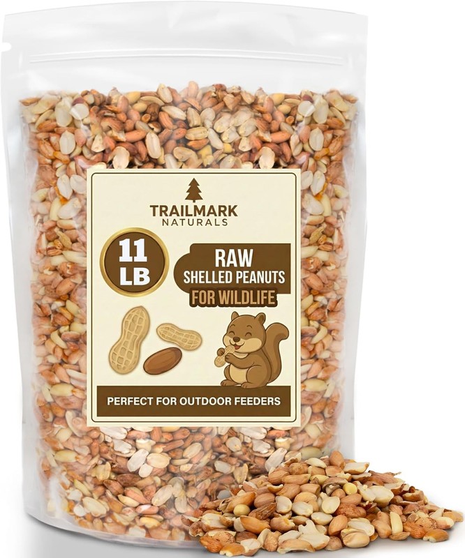 11 LB - Raw Shelled Peanuts for Squirrels, Out of Shell Peanuts for Birds and Wi