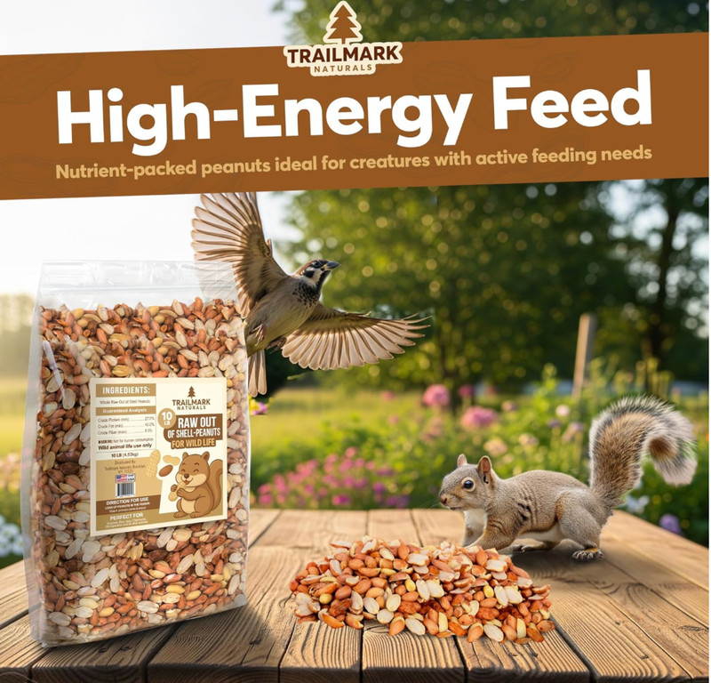 11 LB - Raw Shelled Peanuts for Squirrels, Out of Shell Peanuts for Birds and Wi gallery