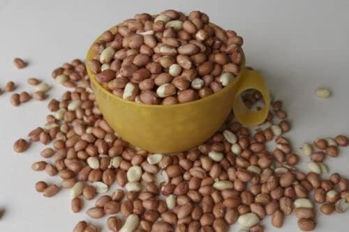Wakefield Virginia Peanuts Bulk 45LB Bag Shelled Squirrels Birds Deer Pigs & a gallery