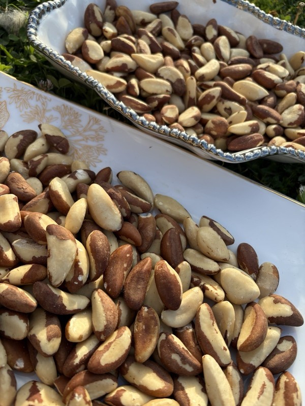 Raw Brazil Nuts Always Fresh 11 oz.to30 lbs. AgroSun gallery
