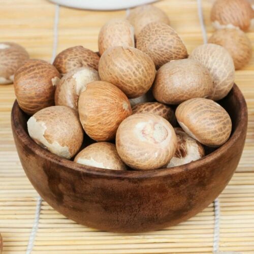 Organic Areca Nuts Natural Fresh & Dried High Quality Ceylon Betal Nuts gallery