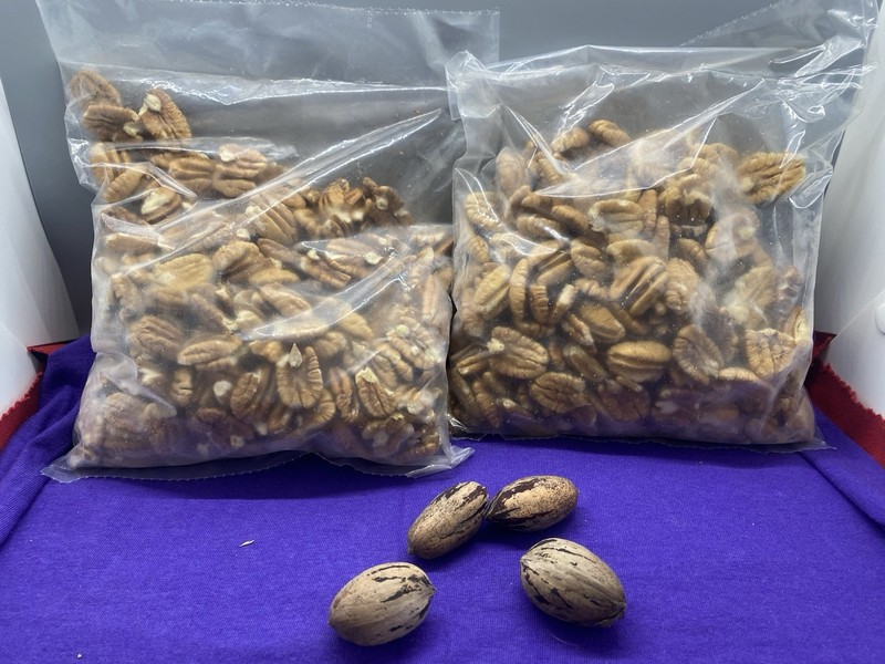 SHELLED PECANS 1 POUND OF QUALITY FRESH OKLAHOMA PECANS #25-105