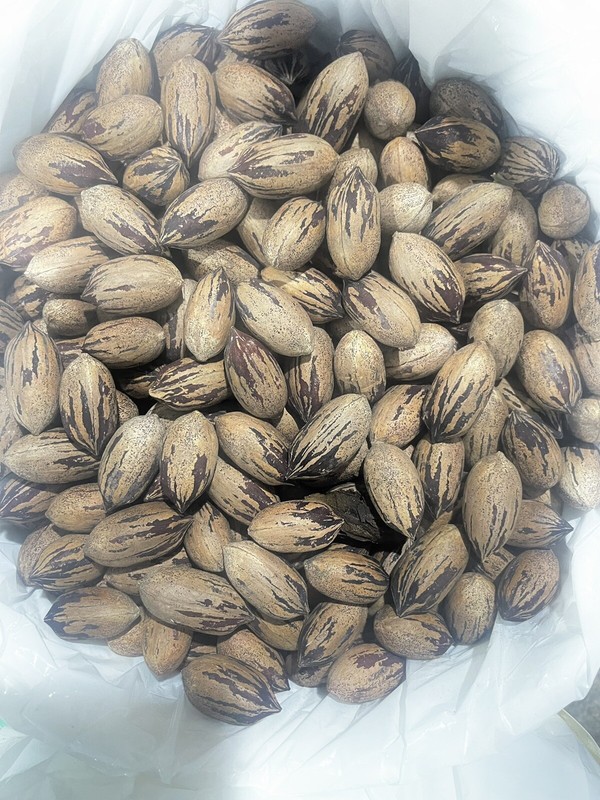 Fresh North Carolina Pecans In Shell 3 Pounds 2024 fresh organic Pecans gallery