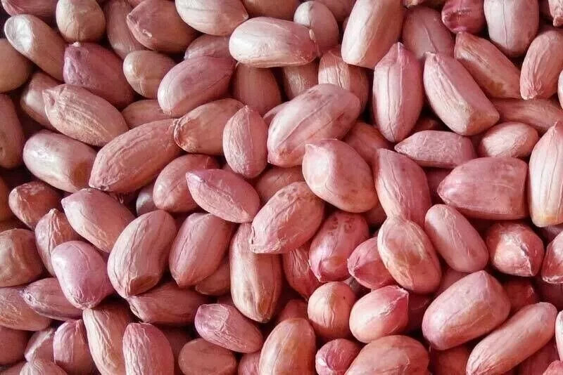 100% Natural Peanut Groundnut Fresh Whole Raw Peanuts Best Quality Dry Fruit