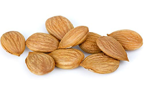 Bitter Apricot Seeds/Kernels, California USA Grown, Non GMO, Vegan, Raw & Lar... gallery