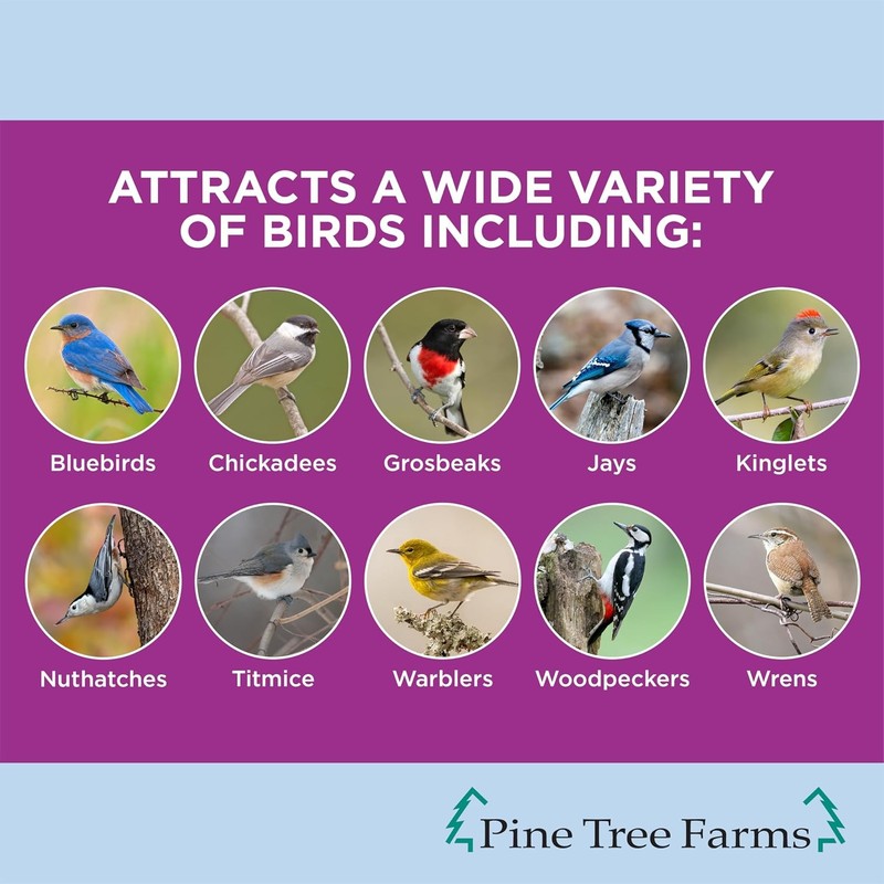 Pine Tree Farms FruitBerry Nut Classic Seed Log for Wild Birds, 28 oz. (3 Pack) gallery