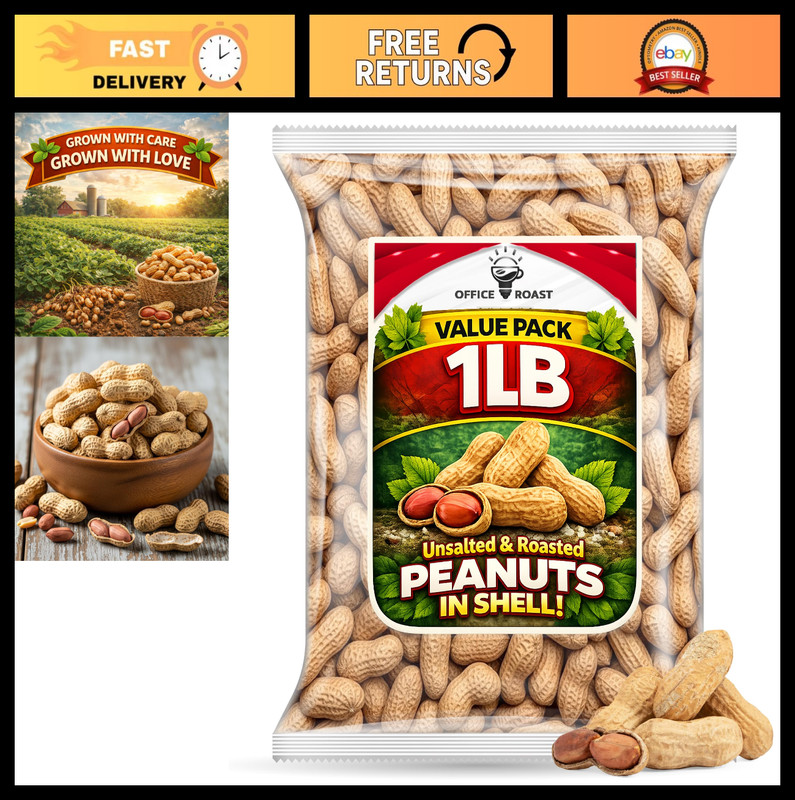 Bulk Unsalted Roasted Peanuts in Shell | 1 LB Healthy Snack | Perfect for Office