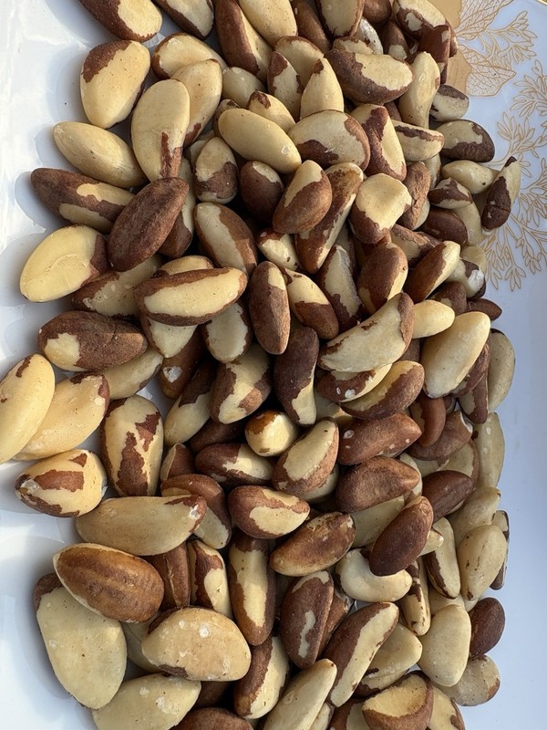 Raw Brazil Nuts Always Fresh 11 oz.to30 lbs. AgroSun gallery