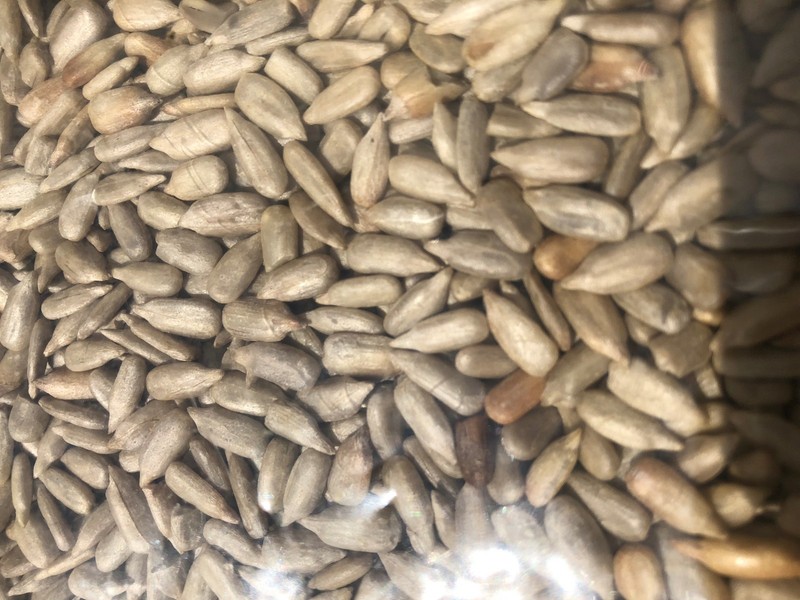 Shelled Raw Sunflower Seeds Not Salted Fresh 11oz. to30 lbs. by AgroSun gallery
