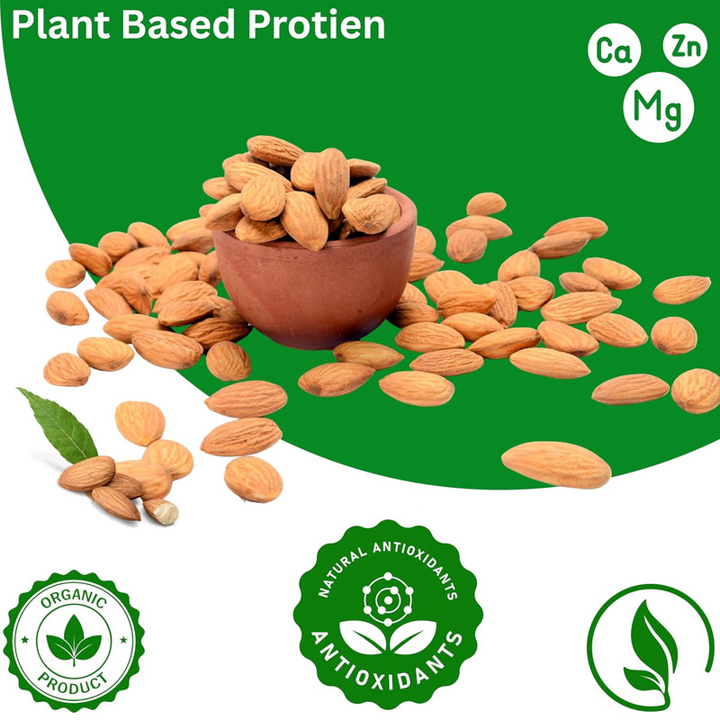 USDA Organic Bitter Apricot Kernels(1Lb) 16Oz, Natural Raw Bitter Apricot Seeds, gallery