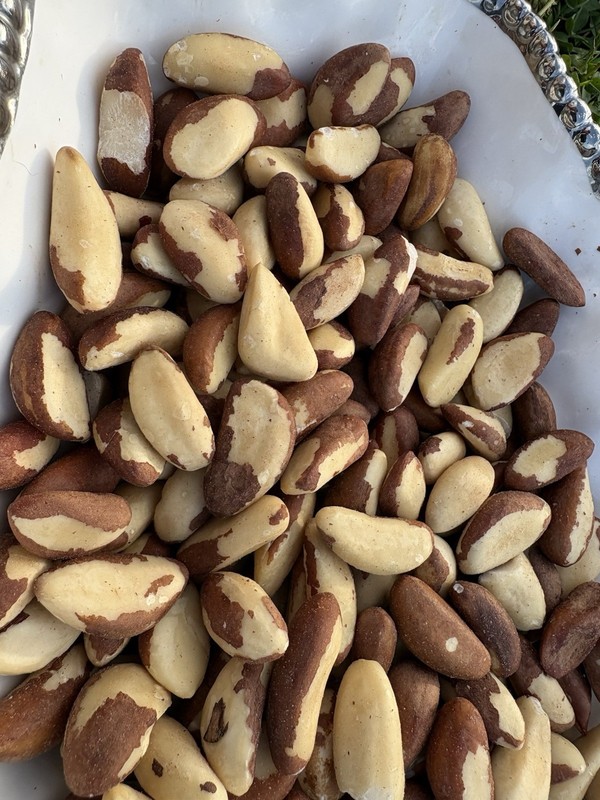 Raw Brazil Nuts Always Fresh 11 oz.to30 lbs. AgroSun gallery