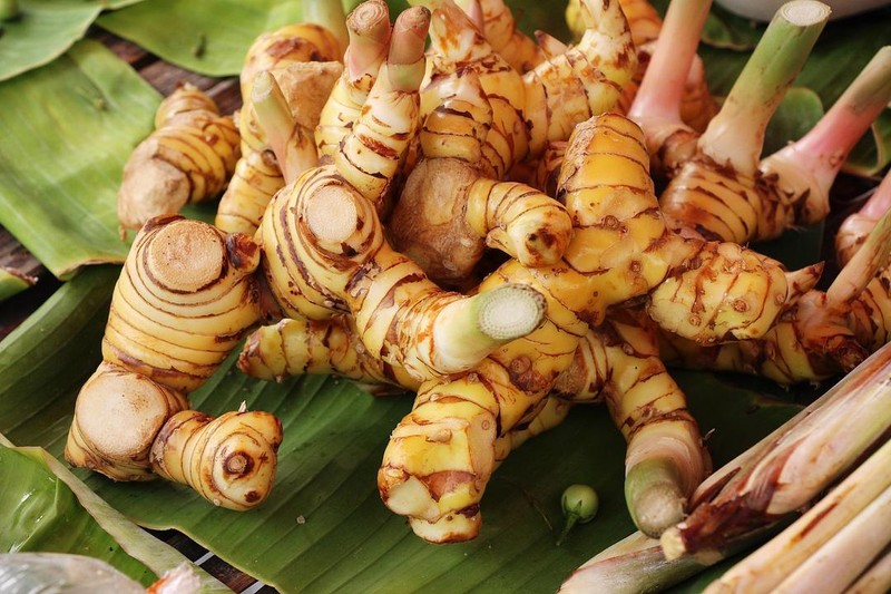 RawJoy Galangal gallery