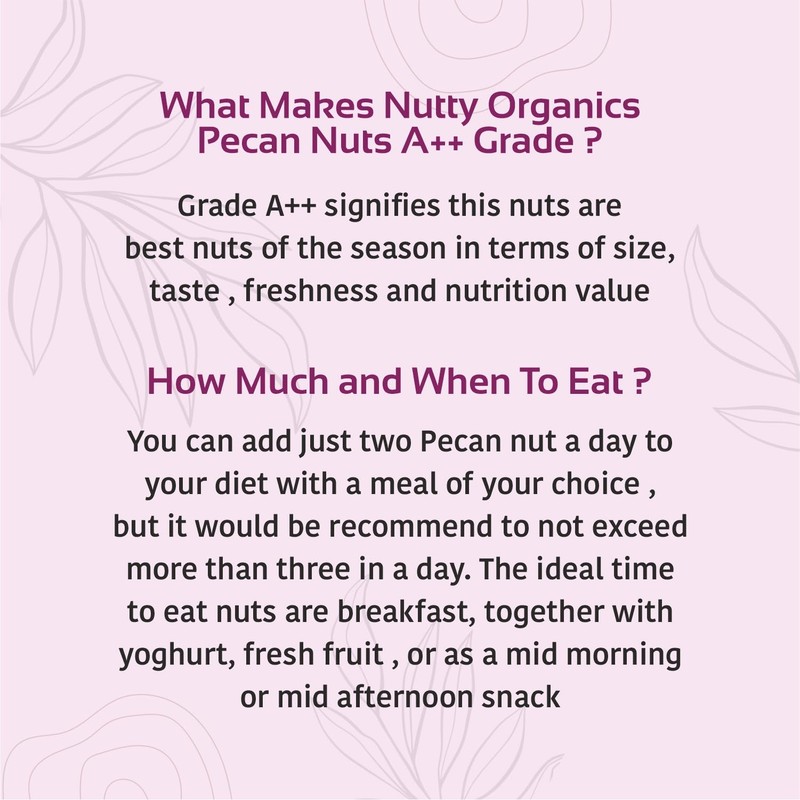 Nutty Organics Premium Pecan Nuts 1Kg | Healthy Dry Fruits Rich in Protein Fiber gallery