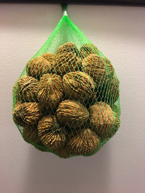 Black Walnuts Hulled and Still in Shell FRESH 2021 Raw Organic Whole Two Pound