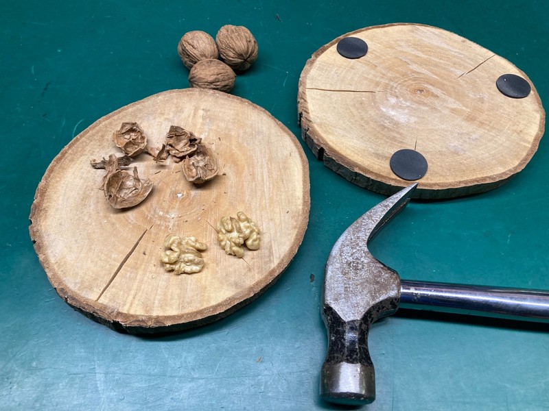 10 lbs California Chandler Walnuts in Shell Freshly Harvested November 2025 gallery