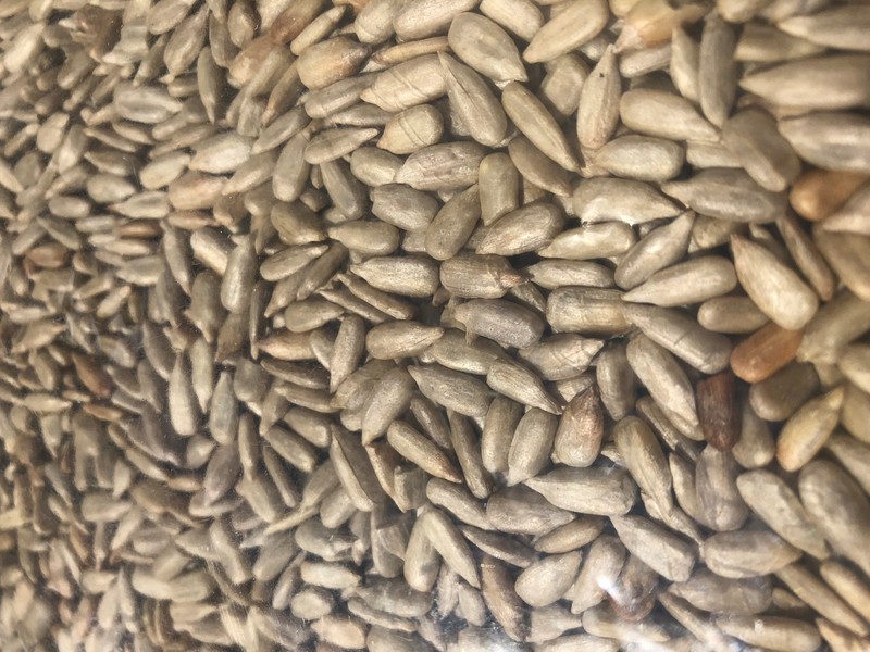 Shelled Raw Sunflower Seeds Not Salted Fresh 11oz. to30 lbs. by AgroSun gallery