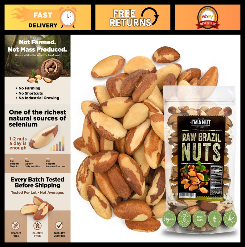 Raw Brazil Nuts 1 lb – Wild Harvested, High Selenium, Non-GMO, Gluten Free, Kosh