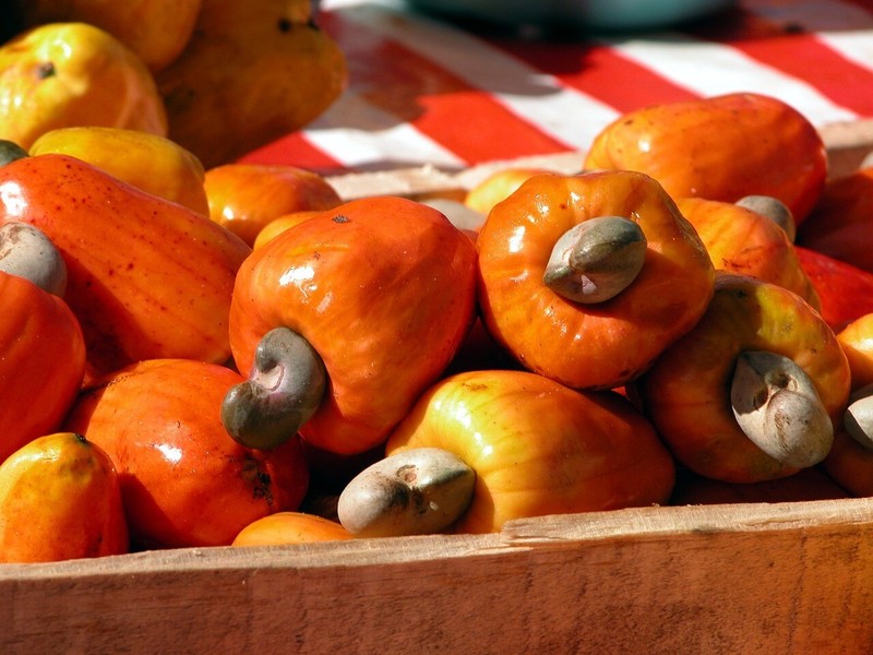 Cashew Nuts Raw, Fresh Taste, 100% Premium Quality "A" Grade Ceylon products gallery