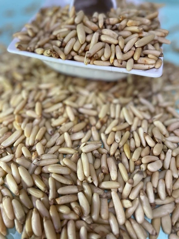 Pine Nuts Premium Quality A+ Grade Without Shell 8 Oz gallery