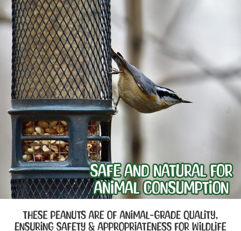 5 lb All-Natural Raw Peanuts - Nutritional Powerhouse for Backyard Wildlife gallery