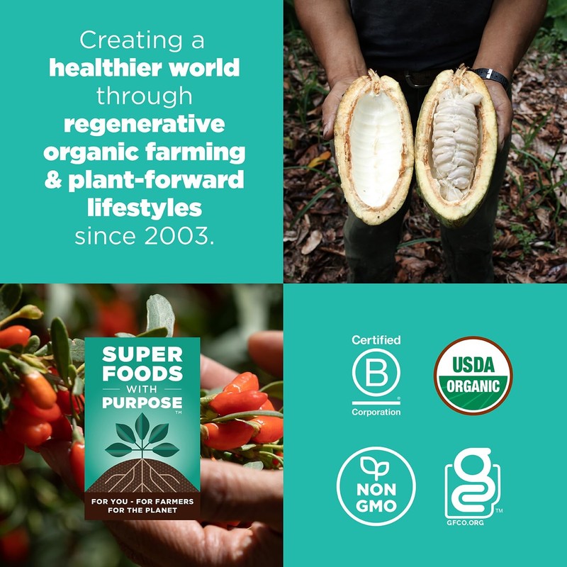 Cacao Goji Superfood BITES – Power Snacks – All Natural Plant Based – Clean gallery